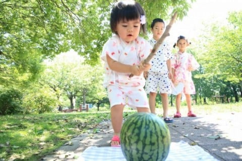 の画像